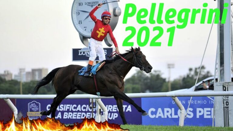 Carlos Pellegrini 355: La direcci&oacute;n ideal para tu pr&oacute;ximo negocio