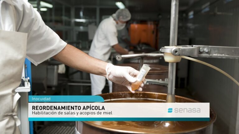 Listado de Salas de Extracci&oacute;n Habilitadas: Encuentra la Mejor Opci&oacute;n