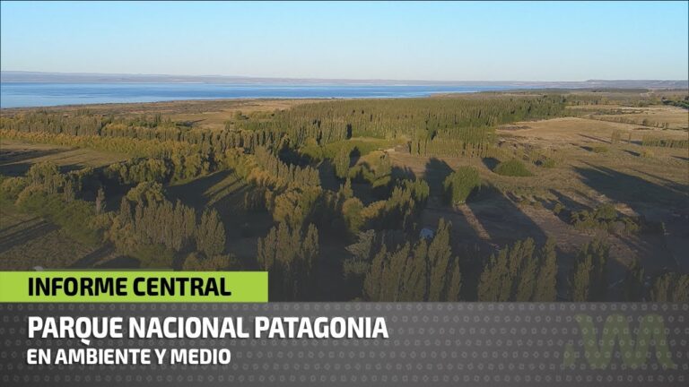 Descubriendo el impacto de Le Utthe Roca: Un an&aacute;lisis conciso