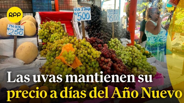 An&aacute;lisis del Precio del Uva: Tendencias y Perspectivas