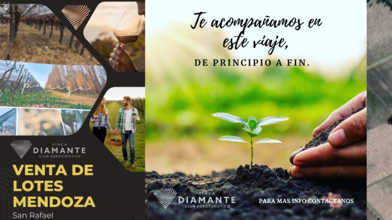 Venta de lotes financiados en Mendoza: &iexcl;Tu oportunidad de inversi&oacute;n!