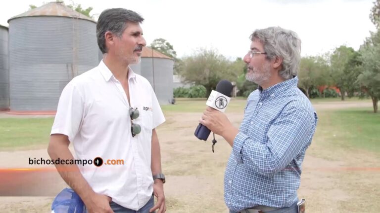 10 Cosas de Campo en Tucum&aacute;n que Debes Experimentar