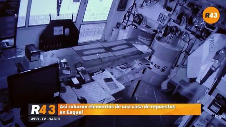 Repuestos Ra&uacute;l MDP: La mejor opci&oacute;n para tus necesidades automotrices