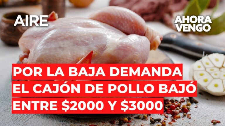 Precio de cajas de pollo en Mendoza: Gu&iacute;a de compra
