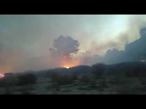 Gu&iacute;a de Camping en el Parque Nacional San Juan