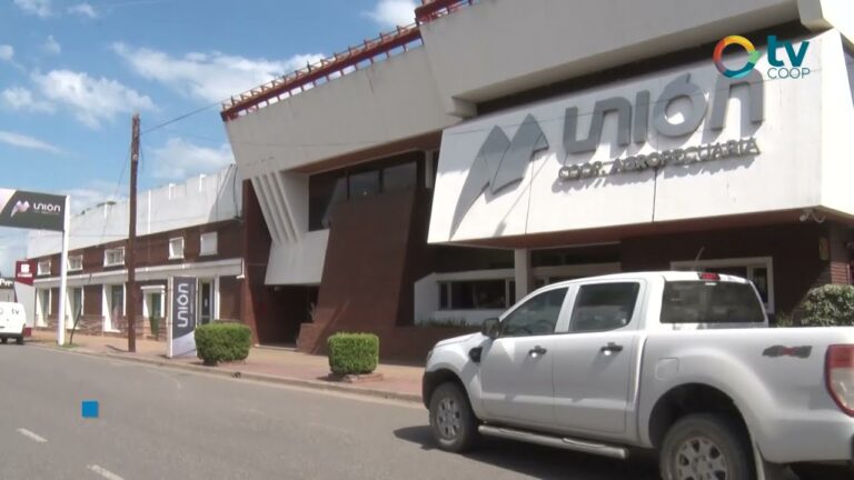 Gu&iacute;a para Optimizar la Consulta de Cooperativas y Uniones