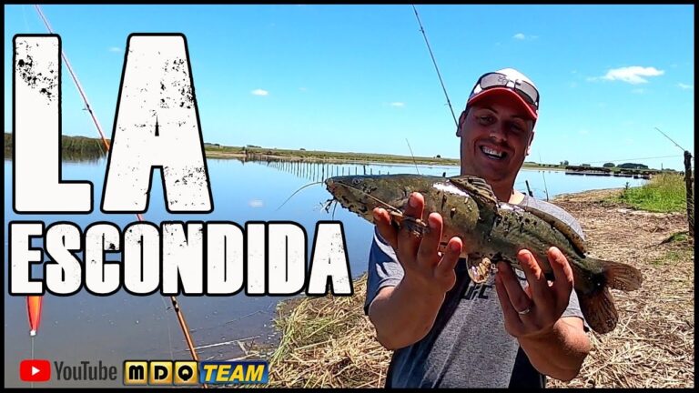 Explorando la Laguna Escondida de Carhu&eacute;