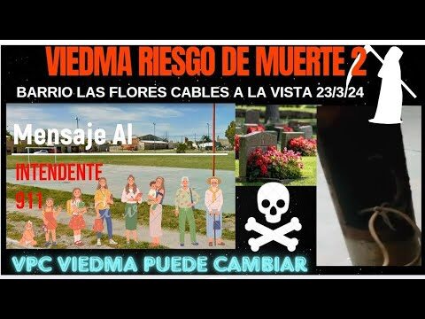 Explorando el Barrio Las Flores en Viedma: Historia, Cultura y Vida Cotidiana