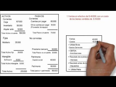 Sample Balance Sheet and Income Statement in English