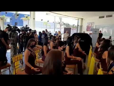 MS Automotores Saenz Pe&ntilde;a: L&iacute;der en Veh&iacute;culos de Calidad