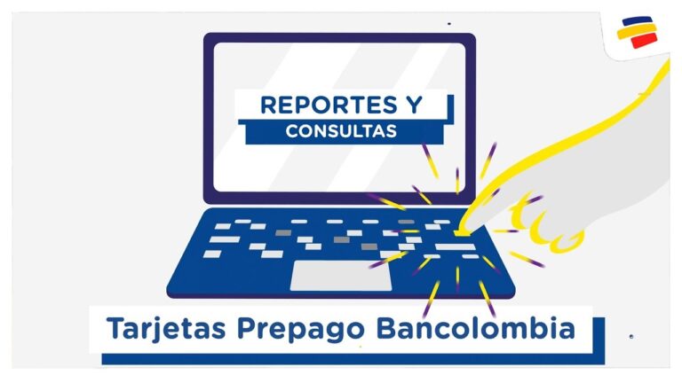 Consultar Saldo Tarjeta Visa Flota: Gu&iacute;a R&aacute;pida y F&aacute;cil