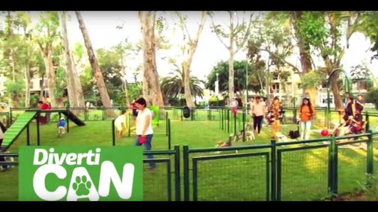 Explorando el Canal Zonal de San Isidro: Un tesoro escondido en Lima