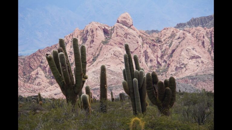 Explorando la vista del parque Jujuy