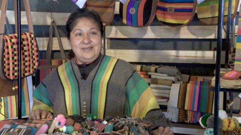 Productos regionales de Catamarca: Delicias aut&eacute;nticas de la regi&oacute;n