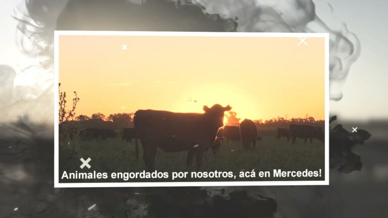 La mejor carnicer&iacute;a en la ciudad: Carnicer&iacute;a Mercedes