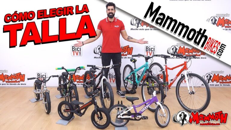 Rodado Ideal para Ni&ntilde;os de 4 A&ntilde;os