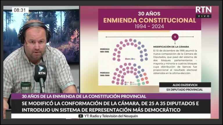 An&aacute;lisis de la Constituci&oacute;n Provincial de Neuqu&eacute;n